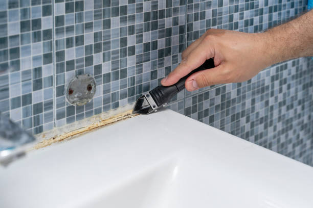 Best Toxic Mold Removal  in Hillsboro, WI